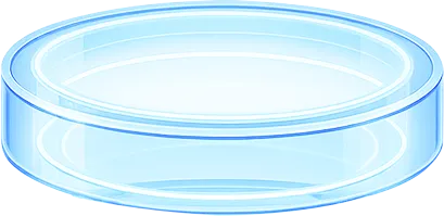 level middle